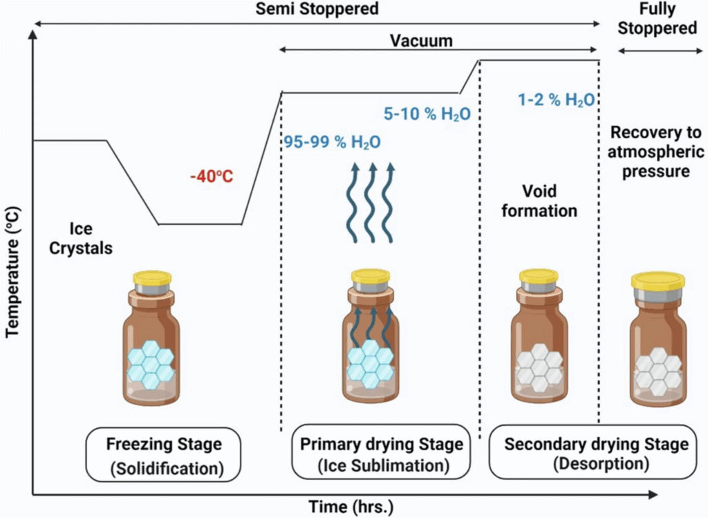 image 1 What is a Lyophilized Peptide?