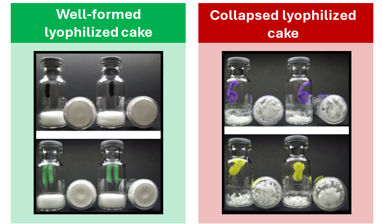 image What is a Lyophilized Peptide?